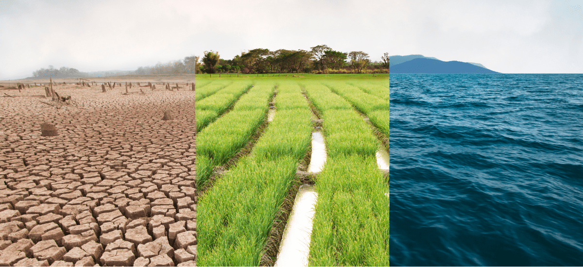 St. Kitts and Nevis Climate Change